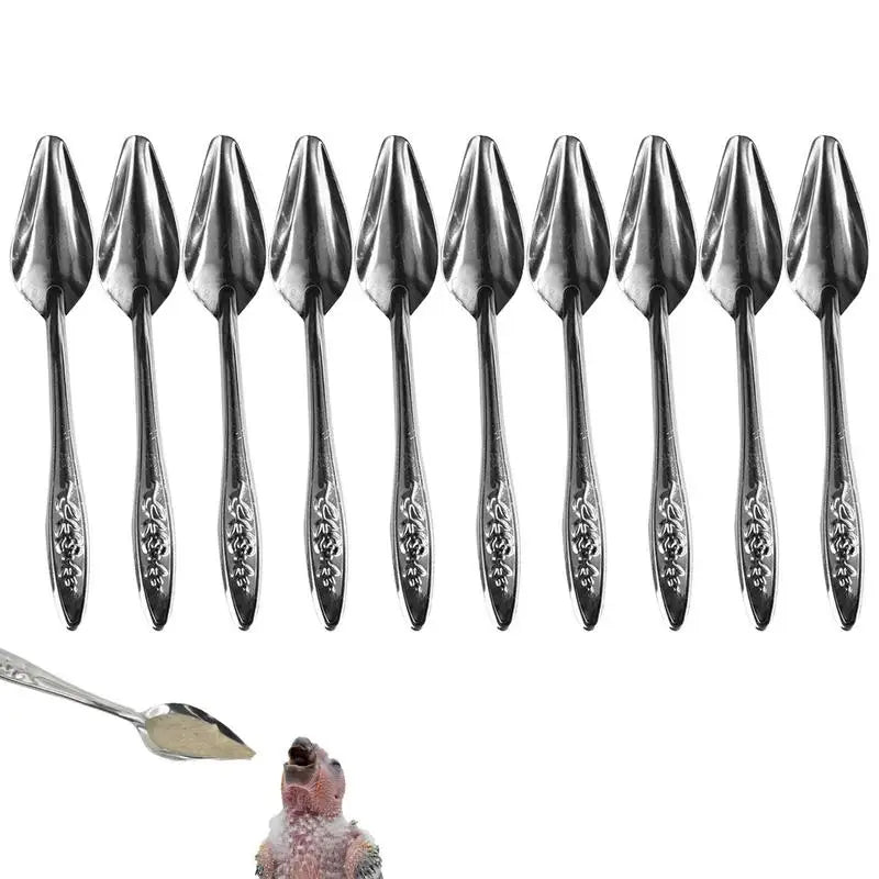 Feeding